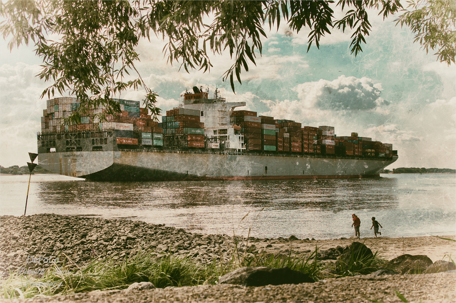 Sommer an der Elbe