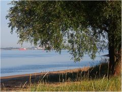 Sommer an der Elbe