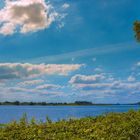 Sommer an der Elbe