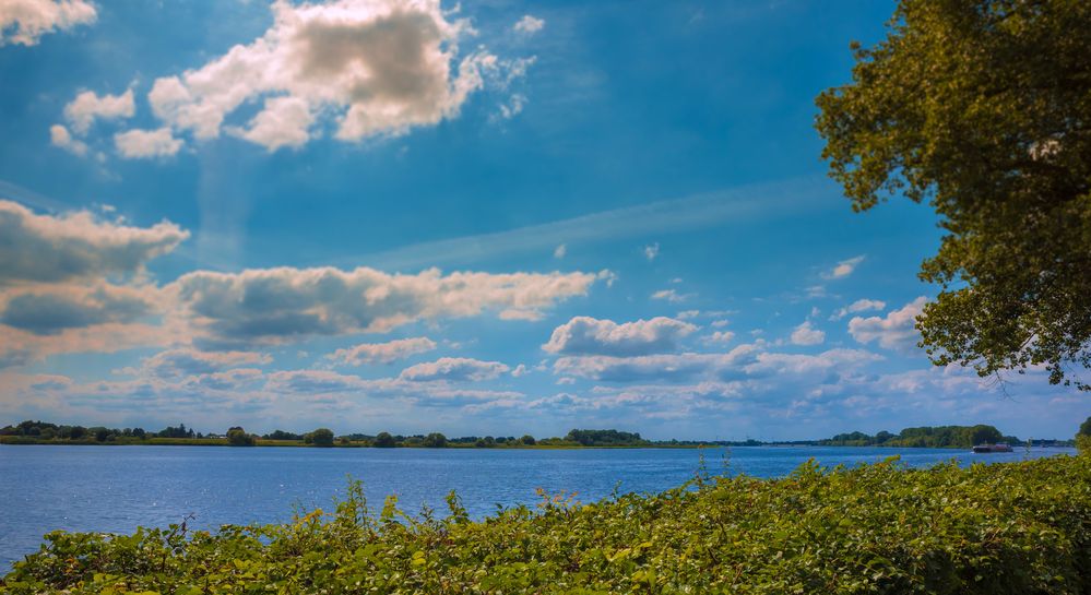 Sommer an der Elbe