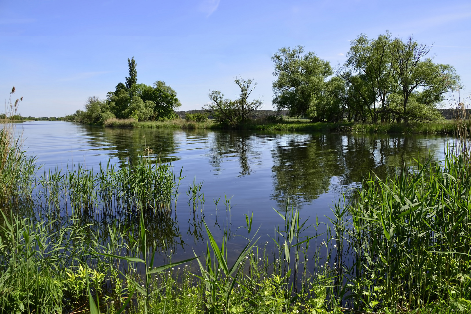 °Sommer an der Havel°