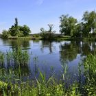 °Sommer an der Havel°