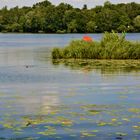 Sommer an der Havel mit rotem Schirm