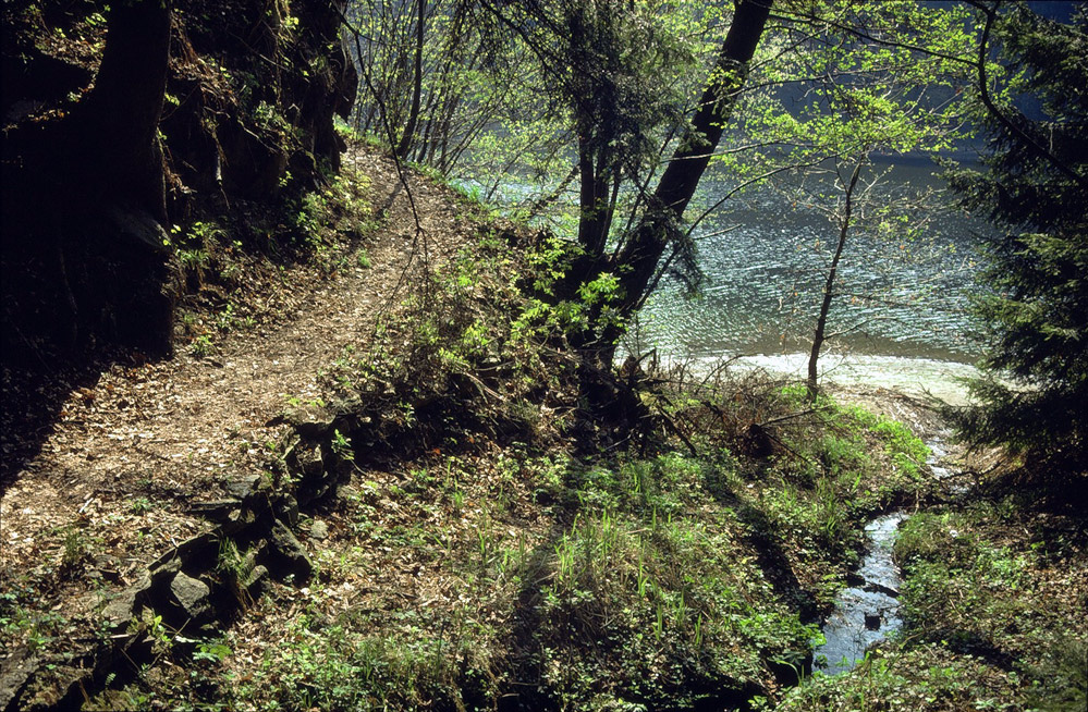 Sommer an der Ilz