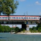 Sommer an der Isar (3 von 3)