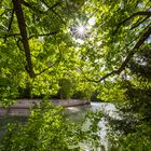 Sommer an der Kahnfahrt