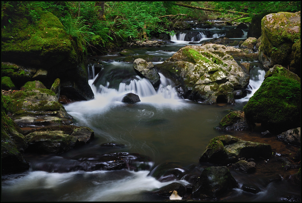 Sommer an der Kleinen Kyll (2)