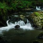 Sommer an der Kleinen Kyll