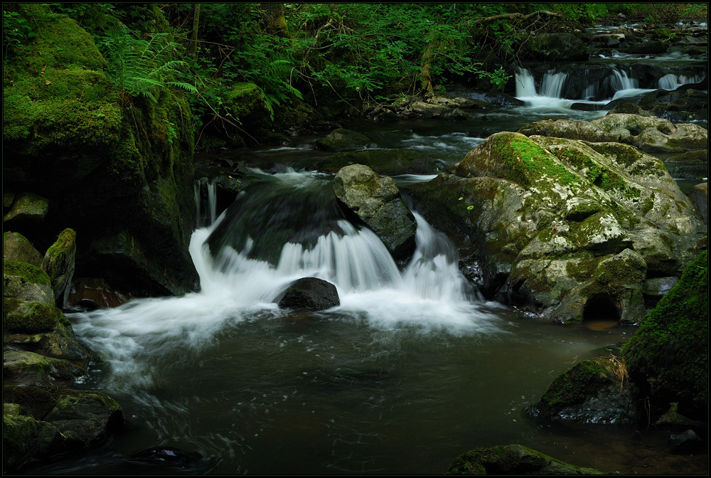 Sommer an der Kleinen Kyll