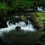 Sommer an der Kleinen Kyll