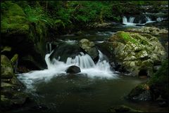 Sommer an der Kleinen Kyll