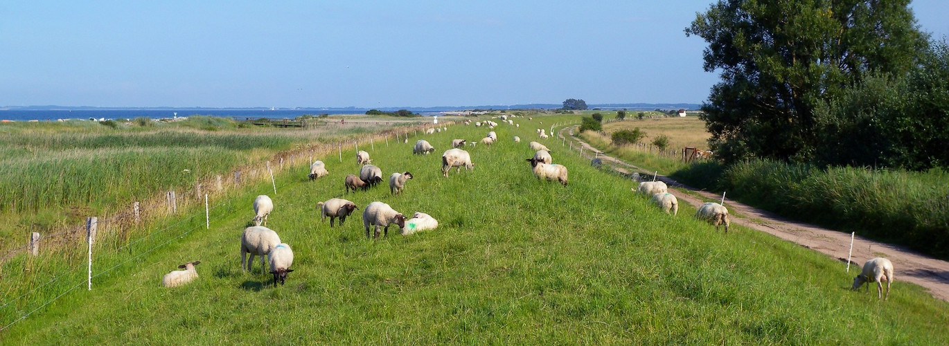 Sommer an der Küste