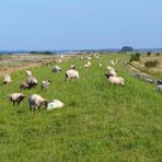 Sommer an der Küste