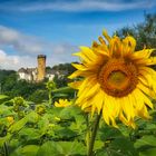 Sommer an der Lahn II