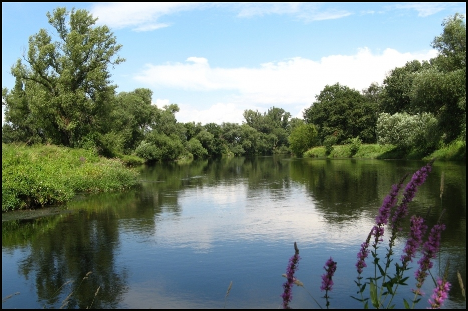 sommer an der mulde