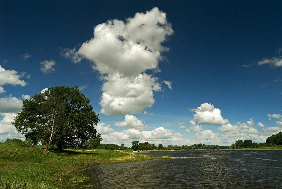 Sommer an der Oder