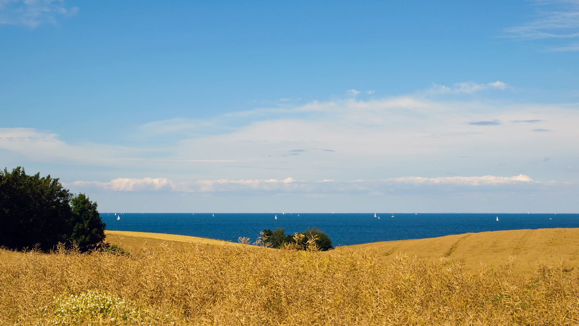 Sommer an der Ostsee