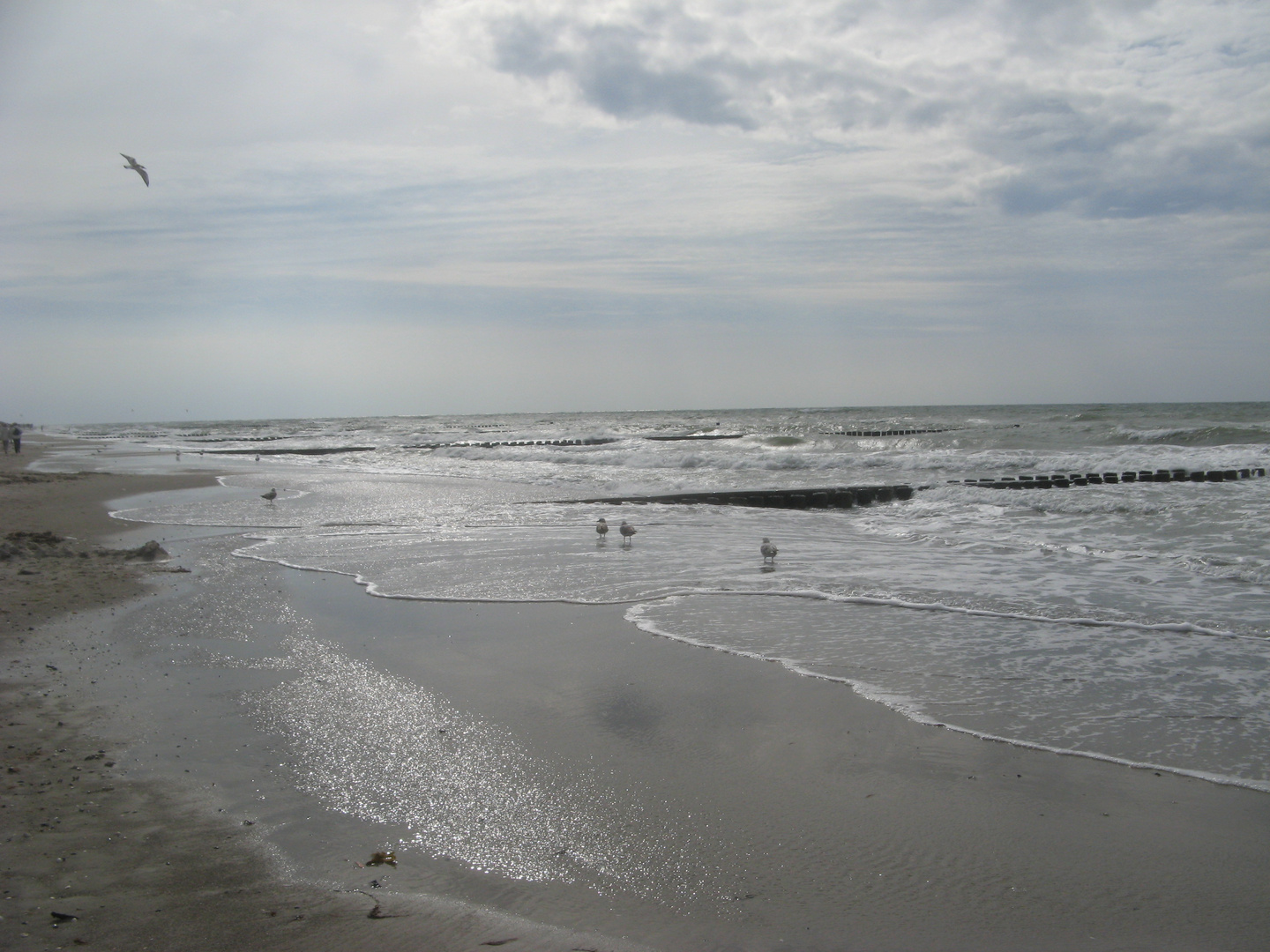 Sommer an der Ostsee 3