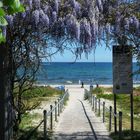 Sommer an der Ostsee