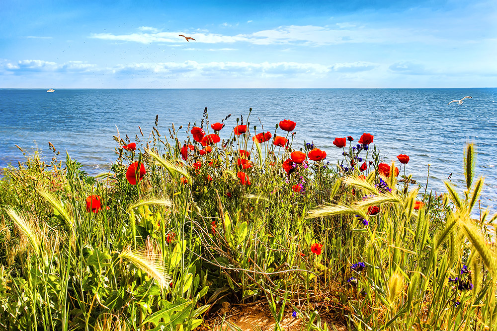 Sommer an der Ostsee