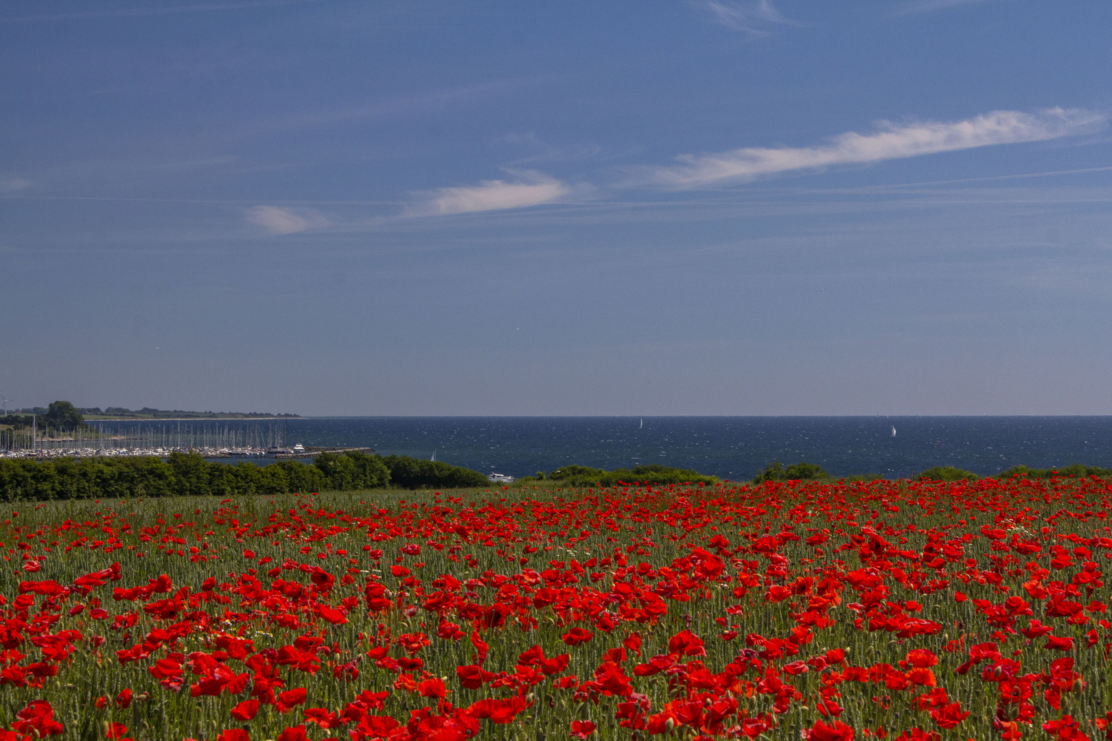 Sommer an der Ostsee