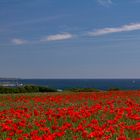 Sommer an der Ostsee