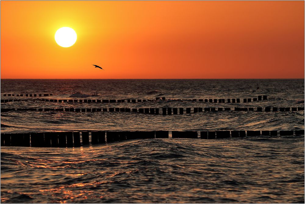 Sommer an der Ostsee...