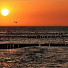 Sommer an der Ostsee...