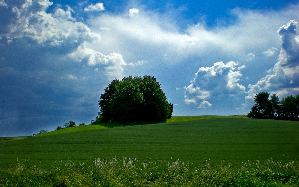 Sommer an der Ronneburg