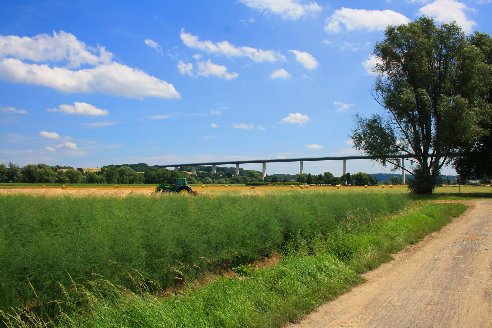 Sommer an der Ruhr