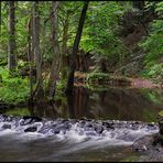 Sommer an der Salm (2)