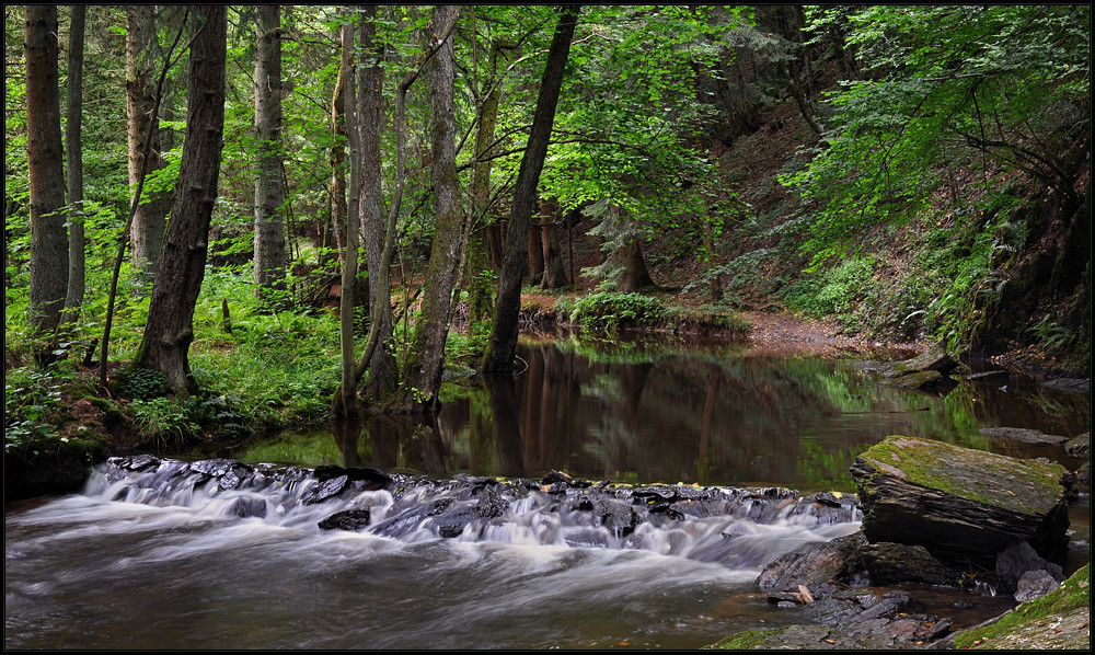 Sommer an der Salm (2)