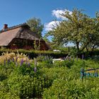 Sommer an der Schlei