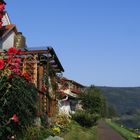 Sommer an der Weser