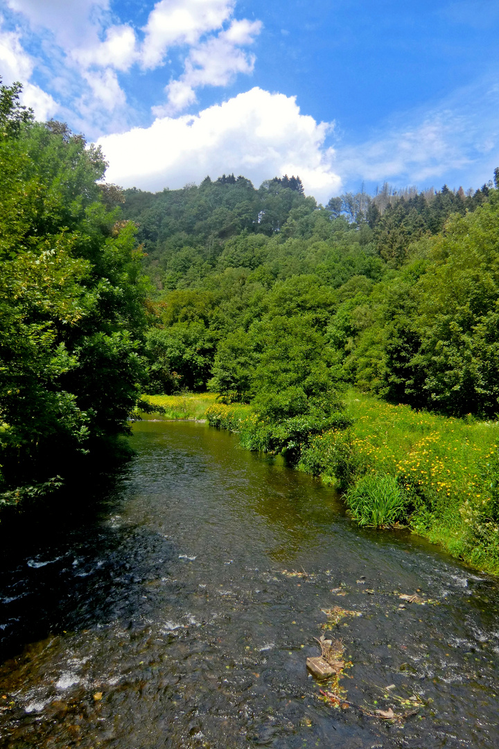 Sommer an der Wupper...