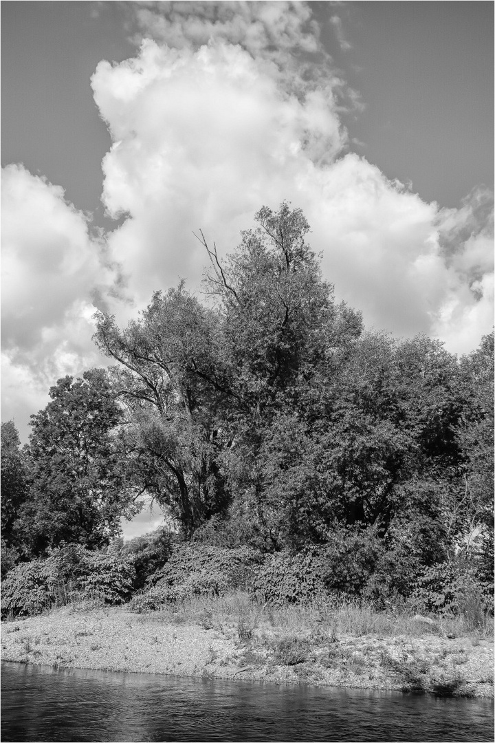 Sommer an der Zwickauer Mulde (1)