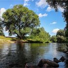 Sommer an der Zwickauer Mulde