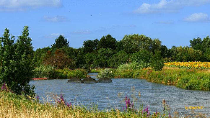 Sommer an einem Teich