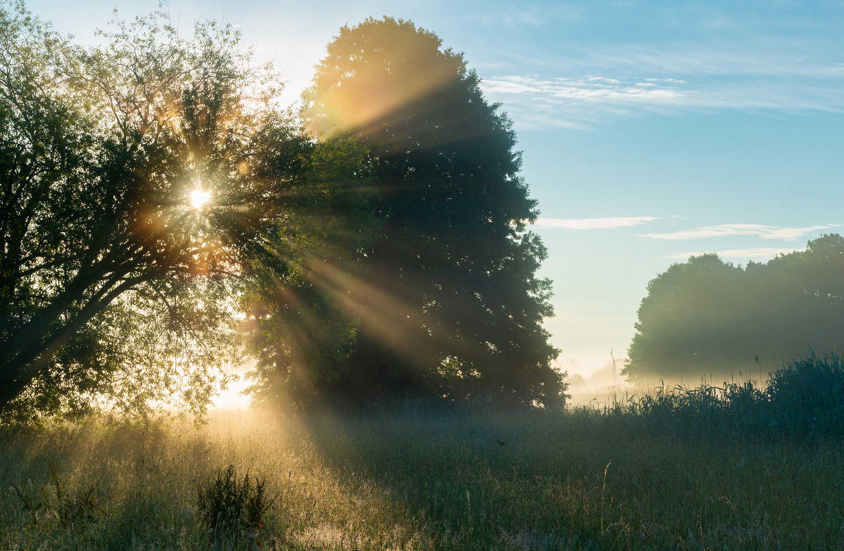 Sommer Anfang