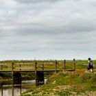 Sommer auf Borkum