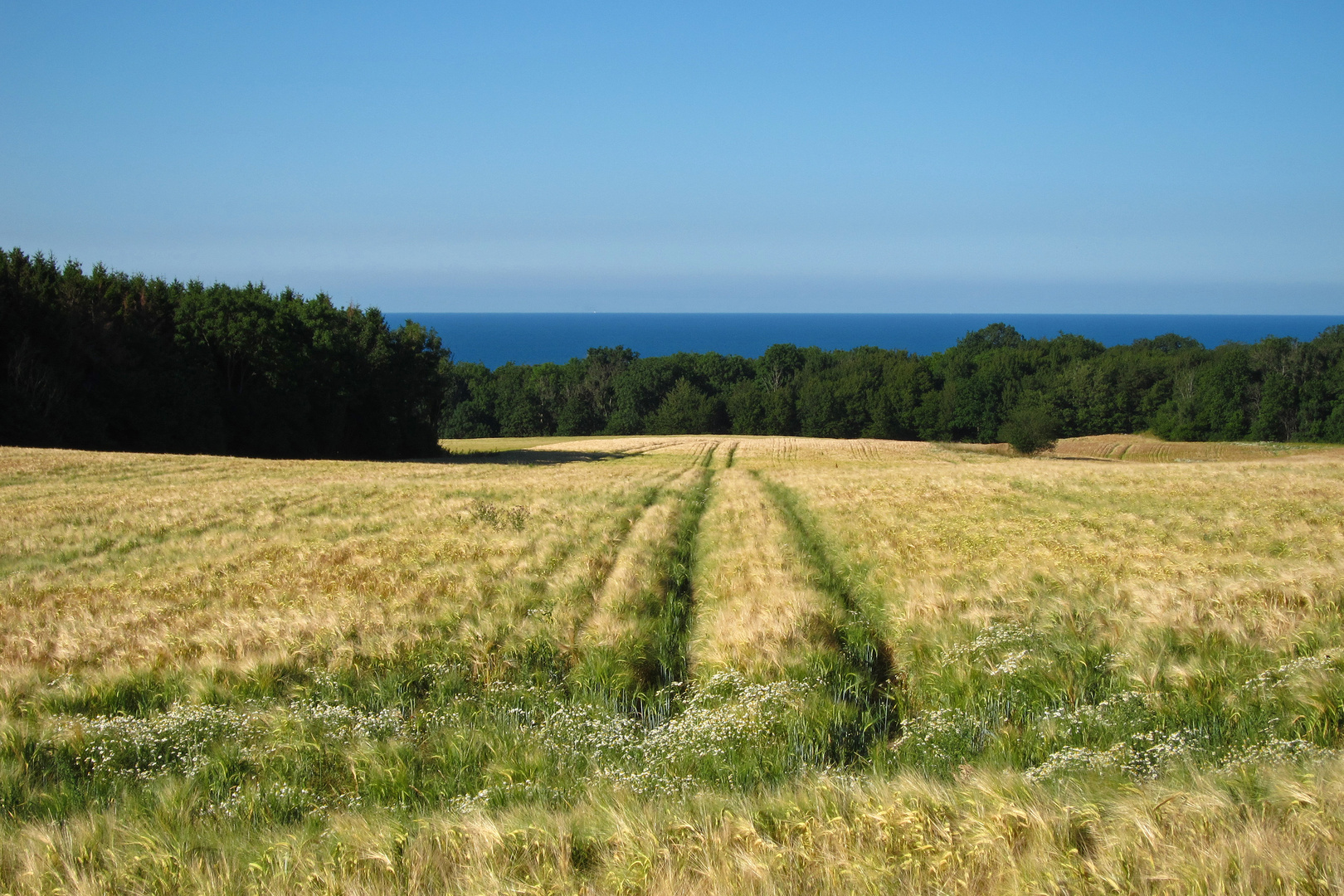 Sommer auf Bornholm