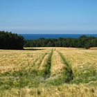 Sommer auf Bornholm