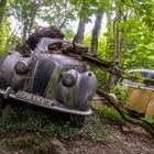 Sommer auf dem Autofriedhof