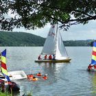 Sommer auf dem Baldeneysee