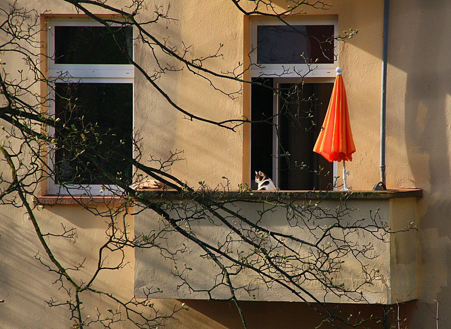 Sommer auf dem Balkon