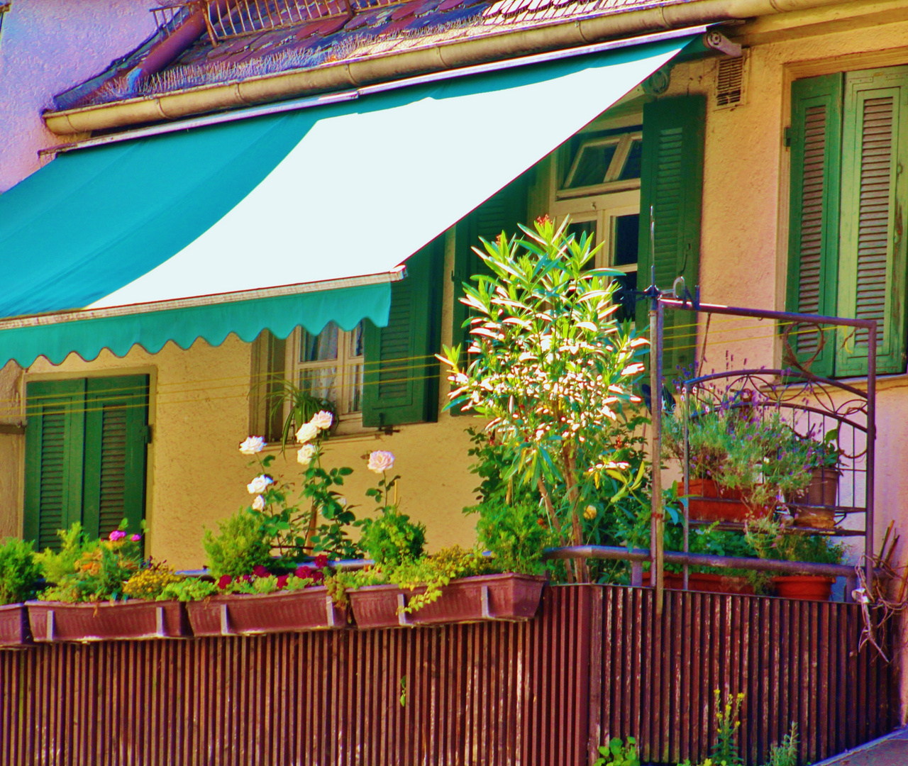 Sommer auf dem Balkon