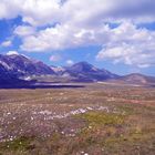 Sommer auf dem Campo Imperatore