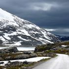 Sommer auf dem Fjell