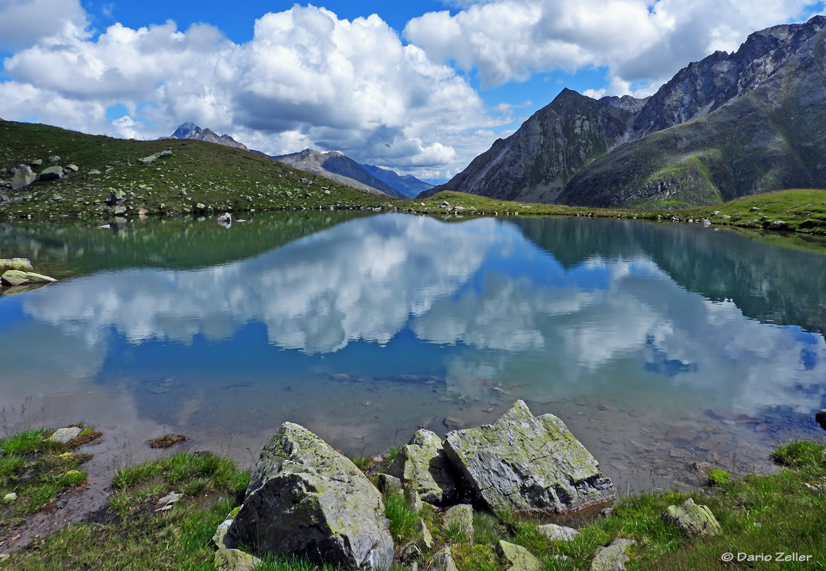 Sommer auf dem Flüela