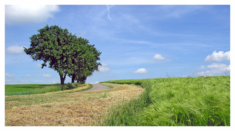 Sommer auf dem Gau 1